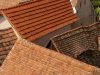 Entretenez votre toiture naturellement avec ces astuces écologiques incontournables