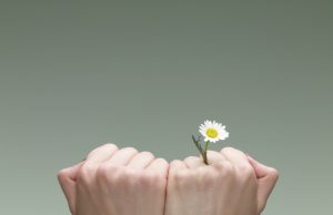 Boostez vos défenses naturelles avec ces aliments incontournables pour votre santé