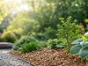 Le paillage, la technique qui simplifie l’entretien du jardin