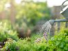 Quelles erreurs éviter quand on arrose son jardin
